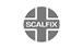 Scalfix